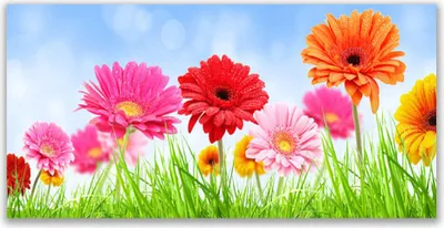 Produktbild von Tulup Leinwand-Bilder 140x70 Wandbild Canvas Kunstdruck Blumen Gras Pflanzen