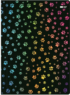 Immagine prodotto di Cartella A4 nera a forma di zampa con elastico Happy Color
