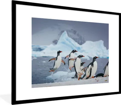 Produktbild von MuchoWow® MuchoWow® Gerahmtes Poster Pinguin - Eis - Schnee 80x60 cm - Poster mit zchwarzem Bilderrahmen - Schlafzimmer-Dekorationen - Fotoposter