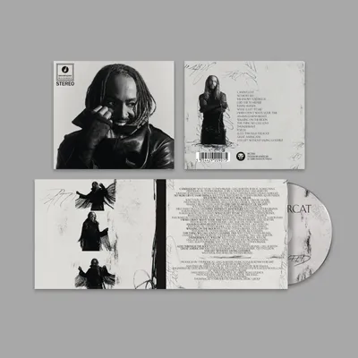 Obrázok produktu pre Thundercat: Distracted