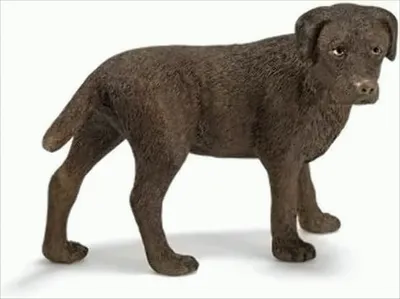 Produktbild von SCHLEICH 16387 - Labrador Hündin