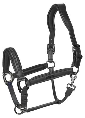 Produktbild von KLNeville Lederhalfter schwarz WB