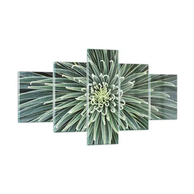 Produktbild von Bilder auf glas - 5 Teile - Agave Grün Pflanze - 125x70cm - Glasbilder - Wandbilder - Bilder - zum Aufhängen bereit - Wanddekoration aus Glas - Glas Bilder - Wandbild auf Glas - GEA125x70-4905