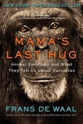 Produktbild von Mama's Last Hug
