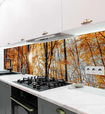 Produktbild von Küchenrückwand selbstklebend Sonnenschein im Herbstwald Spritzschutz 80 x 60cm