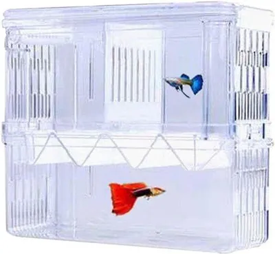 Produktbild von Famanu Fischzuchtbox - Acryl, isolierte Aufzuchtbox mit Saugnäpfen, für Aquarien - Größe S