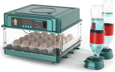 Obrázek produktu pro Inkubátor 220 V – pro 24 vajec – automatické otáčení – pro slepičí a křepelčí vejce – digitální regulace teploty – zelený