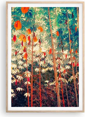 Produktbild von Gerahmtes Poster - Rahmen in heller Eiche - Pflanzen tropisch orange - 70x100 cm - Wand Bild - Wanddeko - Wandbilder - Kunstposter - Wandposter - Bilderrahmen - Bilder - Kunstdruck - P2NPA70x100-4393
