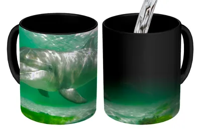 Obrázek produktu pro MuchoWow® Kouzelný pohár Delfín - Zvířata - Voda 350 ml Barva měnící se pohár Dárkový nápad - foto hrnek