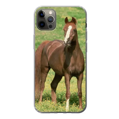 Produktbild von MuchoWow® Handyhülle Schutzhülle Hülle für iPhone 12 Pro Max Pferde - Gras - Braun Silikon Softcase Handy Hülle - Hartschale
