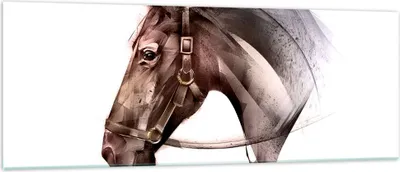 Produktbild von Bilder auf glas - Pferd Abstraktion - 140x50cm - Glasbilder - Wandbilder - Kunstdruck - zum Aufhängen bereit - Wanddekoration aus Glas - Glas Bilder - Wandbild auf Glas - Einteilig - GAB140x50-4106