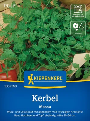 Produktbild von Kiepenkerl Saatgut Kerbel Massa für ca. 100 Pflanzen