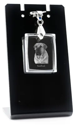 Obrázek produktu pro Boerboel - Křišťálový přívěsek se psem, náhrdelník s fotografií, jedinečné šperky od Art-Dog