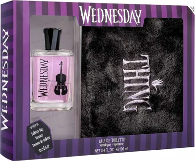 Zdjęcie produktu dla Perfumy dla dzieci Air-Val WEDNESDAY EDT 100 ml 2 szt