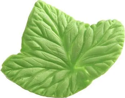 Produktbild von Aderblatt Foglia