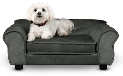 Produktbild von MG Design Haustiersofa in Dunkelgrau - stabiles Holzgestell, weich gepolstert, pflegeleicht - Hundesofa & Katzensofa, fertig montiert
