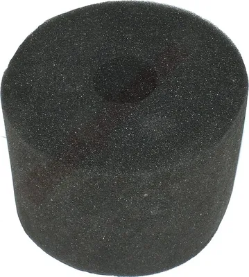 Obrázok produktu pre Vzduchový filter pre B&S ( 270093 )