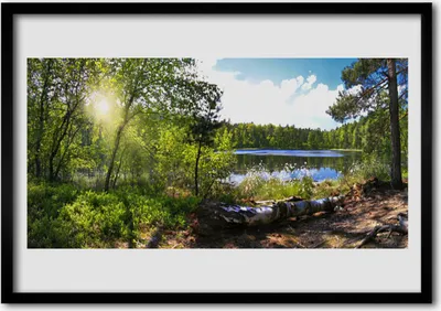 Produktbild von Bild 100x70 MDF-Rahmen Wandkunst Lake Forest Bäume Natur