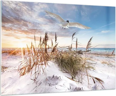 Produktbild von Bilder auf glas - Einteilig - Möwe Meer Küste - 100x70cm - Glasbilder - Wandbilder - Bilder - zum Aufhängen bereit - Wanddekoration aus Glas - Glas Bilder - Wandbild auf Glas - GAA100x70-4902