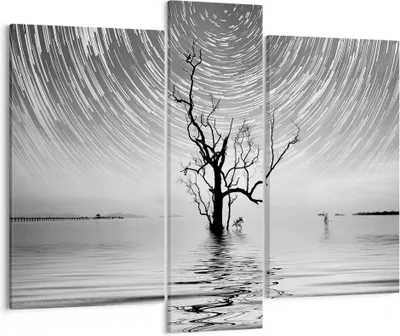 Produktbild von Bild auf Leinwand - Leinwandbild - 3 Teile - Schwarzweiß Baum See - 95x80cm - Wand Bild - Wanddeko - Wandbilder - Leinwanddruck - Bilder - Wanddekoration - Leinwand bilder - Wandbild - CB95x80-4253
