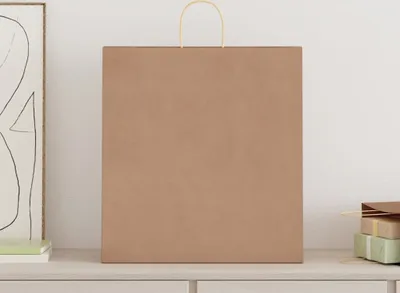 Immagine prodotto di Sacchetti di Carta 250 pz con Manici Marrone 45x17x48 cm