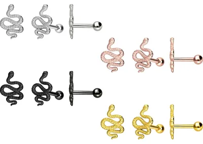 Produktbild von Ohrpiercing Chirurgenstahl Ohrpiercing SCHLANGE