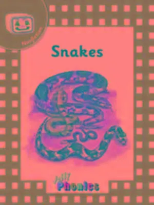 Productafbeelding van Jolly Phonics Readers, Nonfiction, Level 3