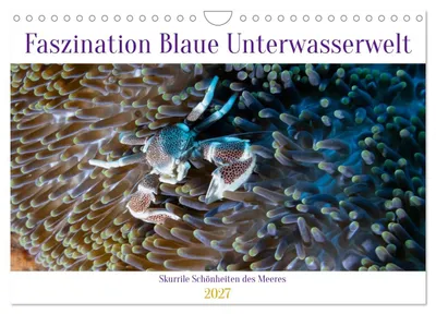 Produktbild von Faszination blaue Unterwasserwelt (Wandkalender 2027 DIN A4 quer), CALVENDO Monatskalender