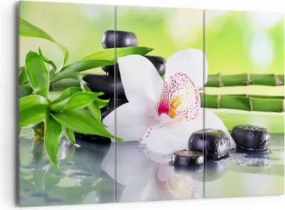 Produktbild von Bild auf Leinwand - Leinwandbild - blume orchidee - 165x110cm - Wand Bild - Wanddeko - Wandbilder - Leinwanddruck - Bilder - Kunstdruck - Wanddekoration - Leinwand bilder - Wandkunst - CE165x110-3659