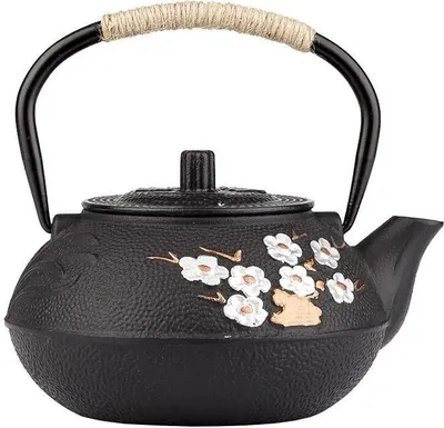 Produktbild von Exquisiter japanischer Teekessel aus Gusseisen, 300ml teapot