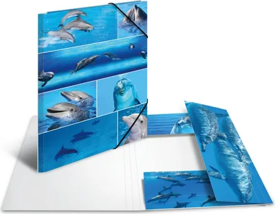 Image de Classeur A3 en carton « Dauphins », lot de 3
