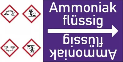 Produktbild von Dreifke® Rohrleitungsband Ammoniak flüssig, DIN 2403, ab Ø 15mm, violett/weiß...