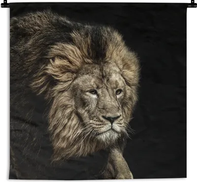 Produktbild von MuchoWow® Wandteppich Wandbehang Löwe - Tiere - Schwarz 150x150 cm Tapisserie Dekoration Wandtuch - Wohnaccessoires - Modernes