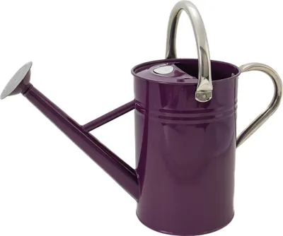 Produktbild von Kent & Stowe Gießkanne 4,5 L Stahl violett
