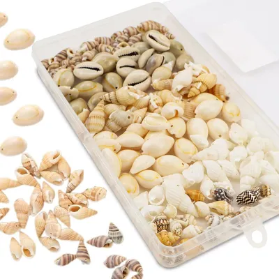Produktbild von 120 Stück natürliche Muscheln zum kreativen Basteln und für Schmuck