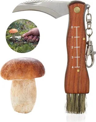 Produktbild von Pilzmesser mit Bürste, klappbarer Pilzschneider, doppelseitige Klinge, Campingschneider