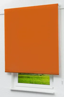 Produktbild von Lysel Outlet - Verdunkelungsrollo Rotorange, (B x H) 82.50cm x 190cm in orange/rotorange