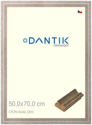 Obrázek produktu pro DANTIK rámeček 50x70 | LYON šedá (Plexi Čiré)