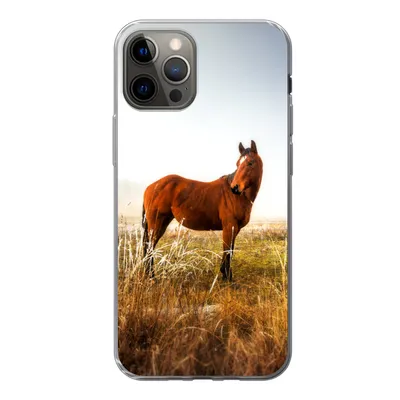 Produktbild von MuchoWow® Handyhülle Schutzhülle Hülle für iPhone 13 Pro Pferd - Weide - Australien Silikon Softcase Handy Hülle - Handy-Tasche