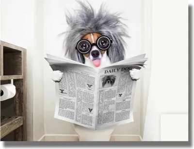 Produktbild von TPFLiving Kunstdruck LW-700 (OHNE RAHMEN) Poster - Leinwand - Wandbild - Hochauflösender Giclée-Druck, langlebig und hochwertig - Lustige Hunde lesen Zeitung  - Größe: 60x80cm