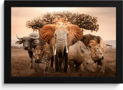 Produktbild von MuchoWow® MuchoWow® Gerahmtes Poster Tiere - Elefant - Löwe 30x20 cm - Poster mit zchwarzem Bilderrahmen - Kunstdruck - Bild-Poster