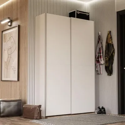 Image de Armoire Coulissante Multifonction, 2 Portes, Blanc Mat, 120 x 41,6 x 190,5 cm, 6 Tablettes