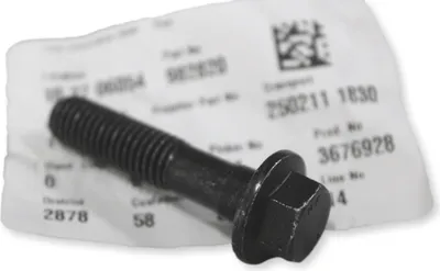 Zdjęcie produktu dla Oryginalna śruba VOLVO M10x45 OE 982820
