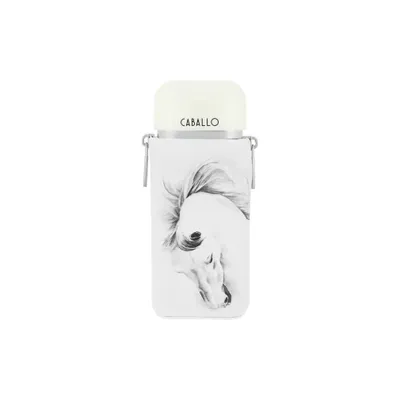 Immagine prodotto di Caballo Pour Homme - EDP, 100 ml