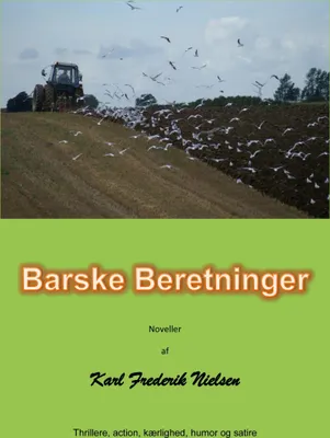 Produktbild von Barske beretninger