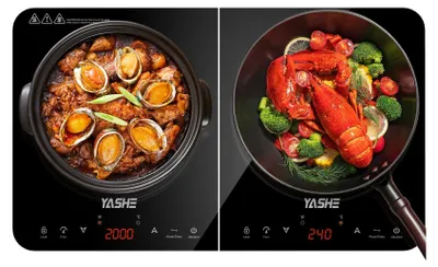 Image de Plaque de cuisson à induction – Double plaque à induction, 10 niveaux de température