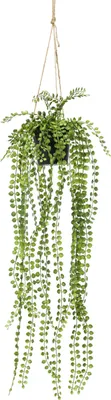 Produktbild von Emerald Kunstpflanze Ficus Pumila Hängend mit Topf 60 cm