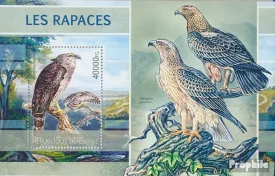 Produktbild von Briefmarken Guinea 2013 Mi Block 2208 (kompl. Ausgabe) postfrisch Raubvögel (Morphnus guianensis)