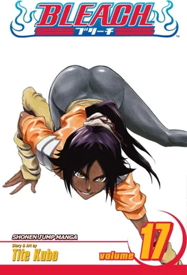 Produktbild von Bleach, Vol. 17