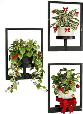 Image de 3 pots muraux, décoration murale, pour plantes d'intérieur